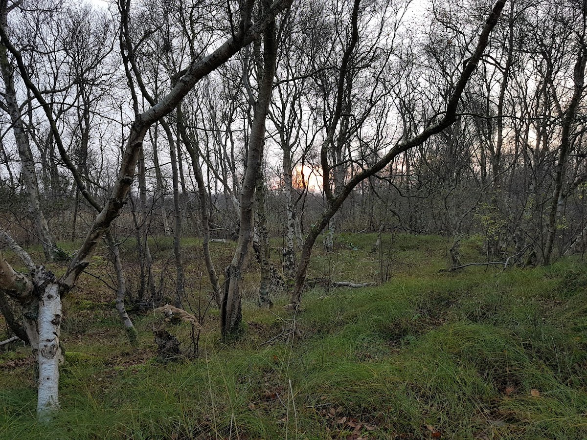 gp_69f9609278897