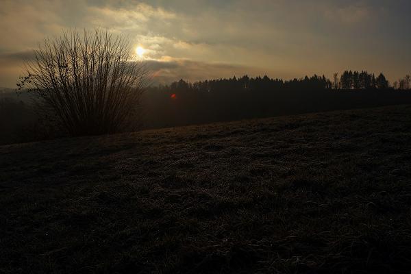 gp_69f9613c9e19f