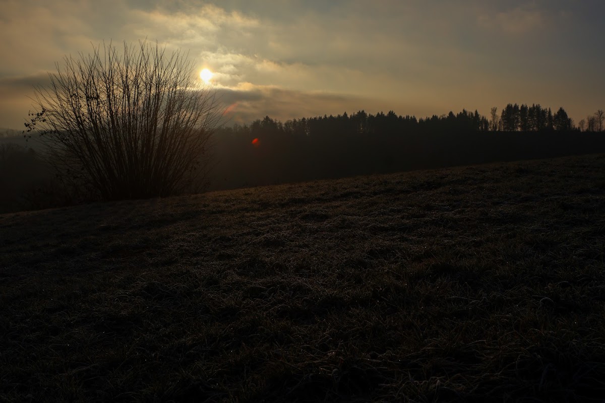 gp_69f9613c9e19f