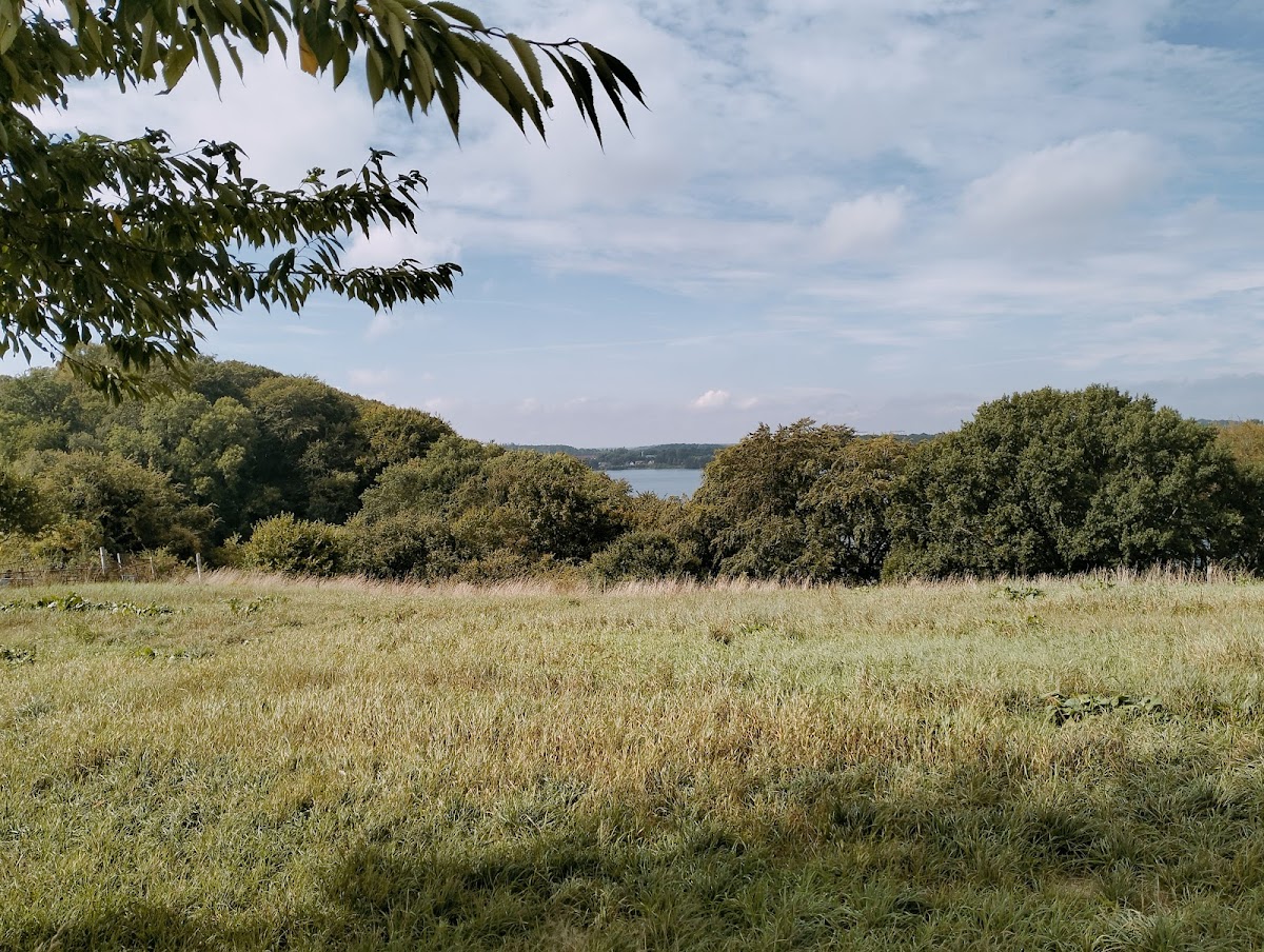 gp_69f9614941cee