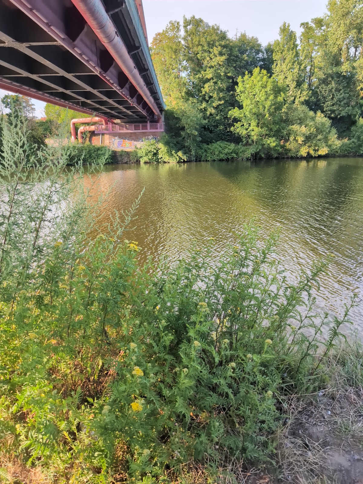 gp_69f961a96c91f