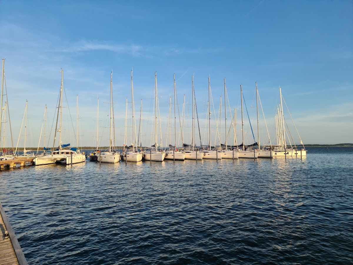 gp_69f9631469ca0