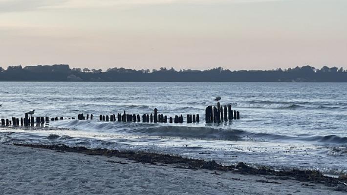 gp_69f9631747825
