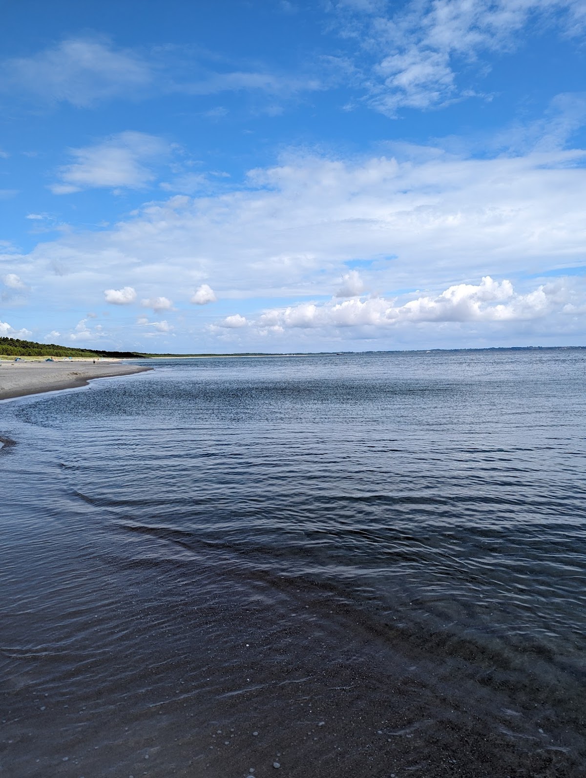 gp_69f9631f49605