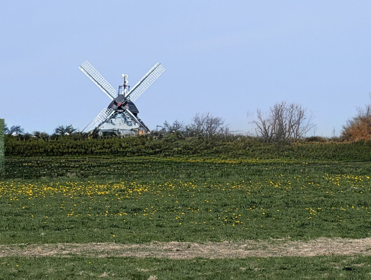 gp_69f92ab17a80f
