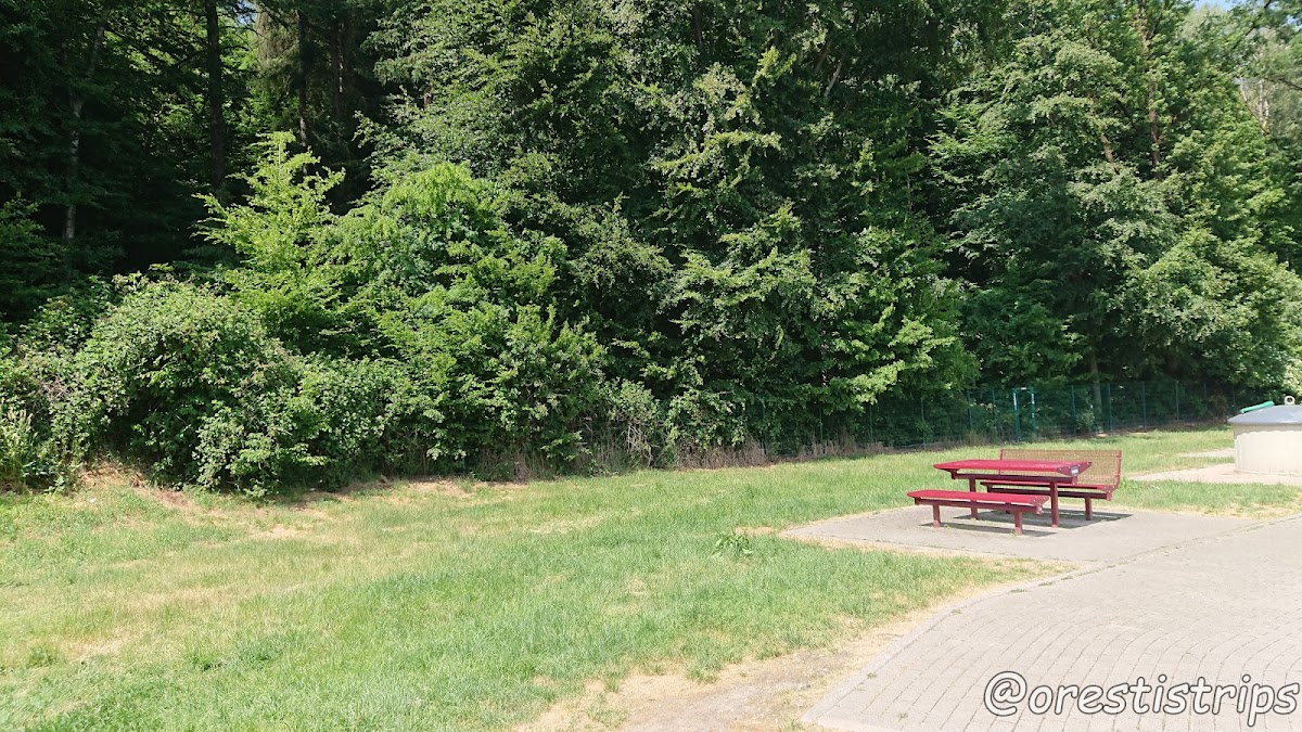gp_69f9635b138ee