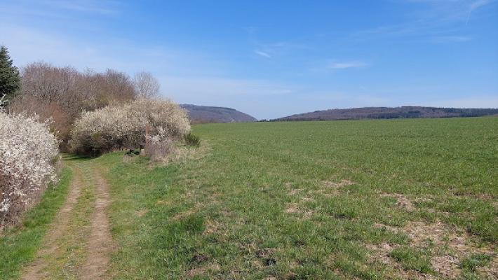 gp_69f92ab9ab9b5
