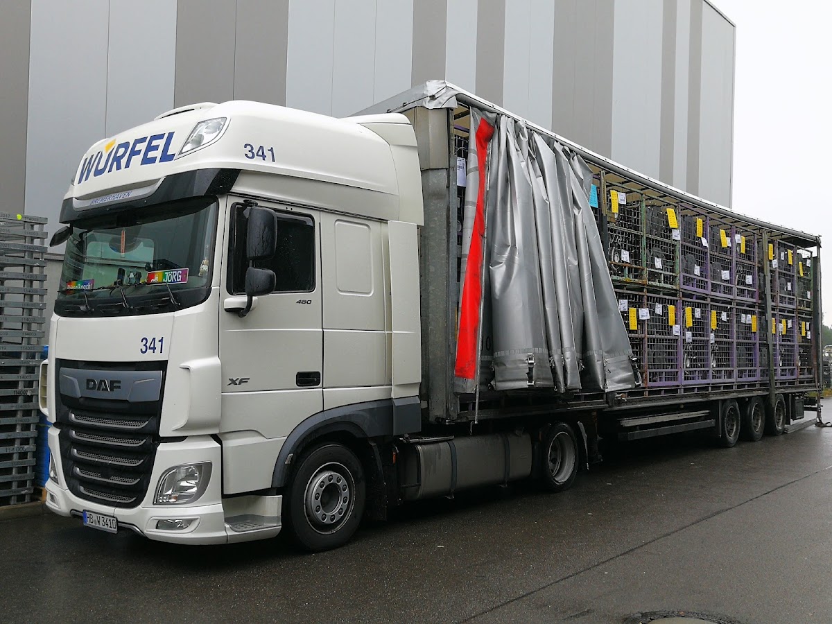 gp_69f96374dd259