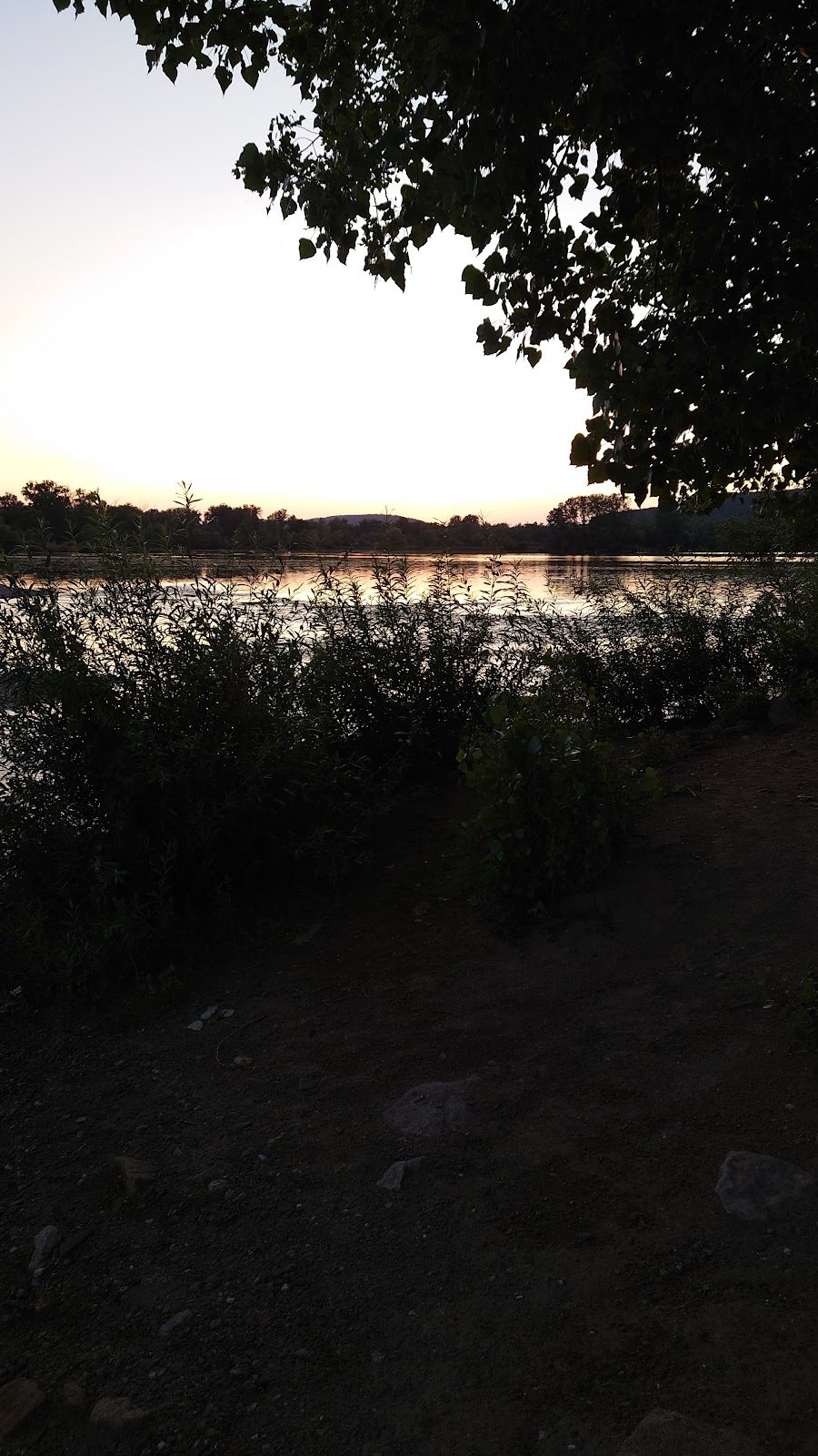 gp_69f9638141c1c