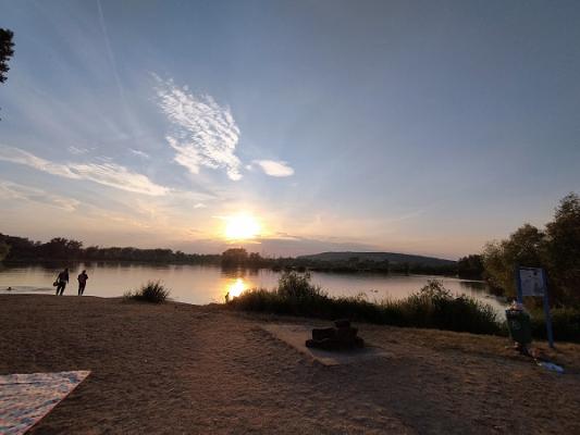 gp_69f9638221876
