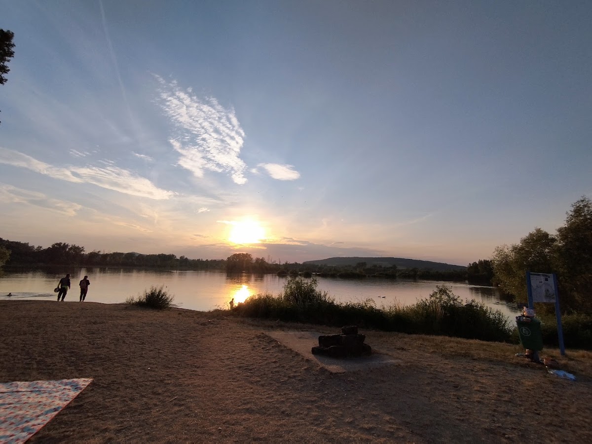gp_69f9638221876