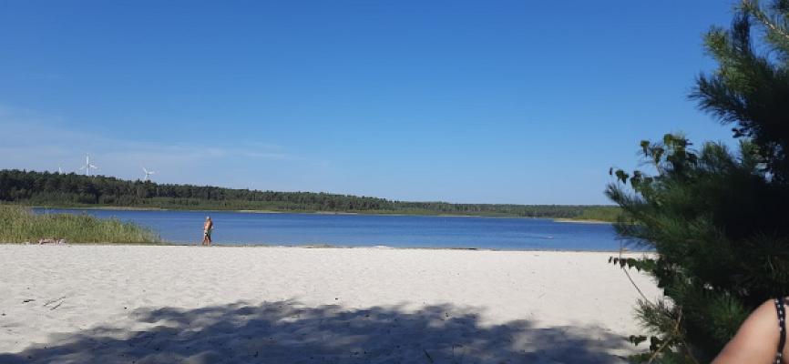 gp_69f9648283842