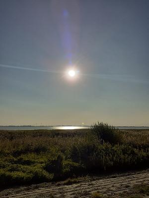 gp_69f964edef713