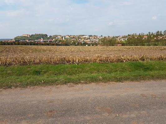 gp_69f9659adcdba